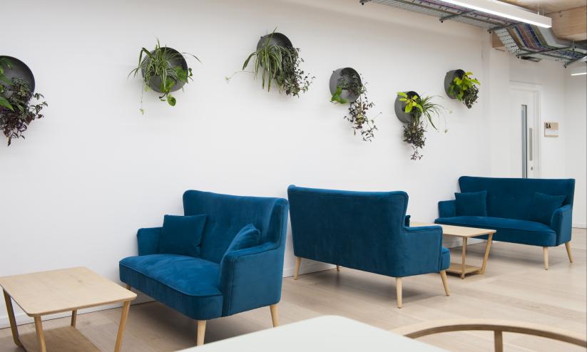 The Green House Communal Area