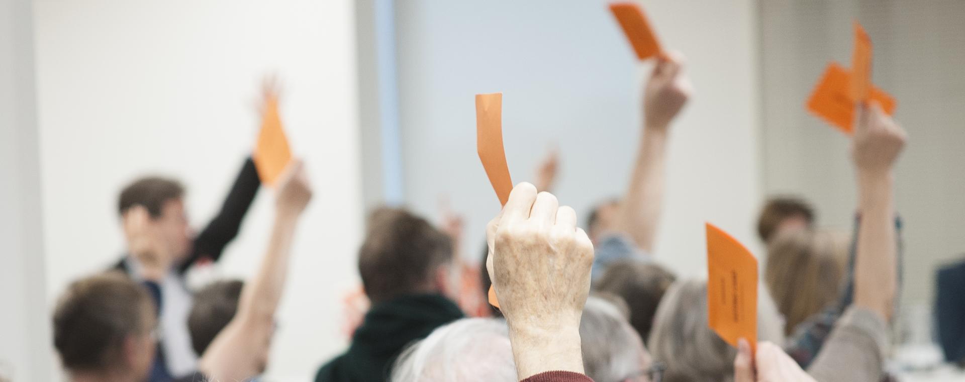 AGM 2019 Voting