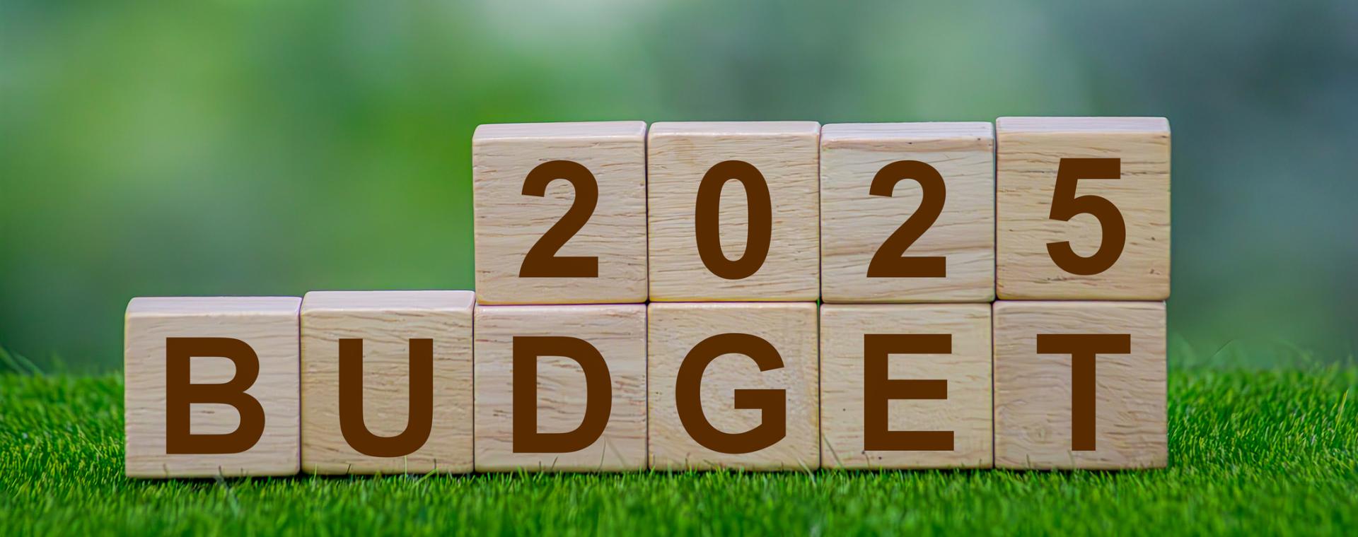 2025 Budget