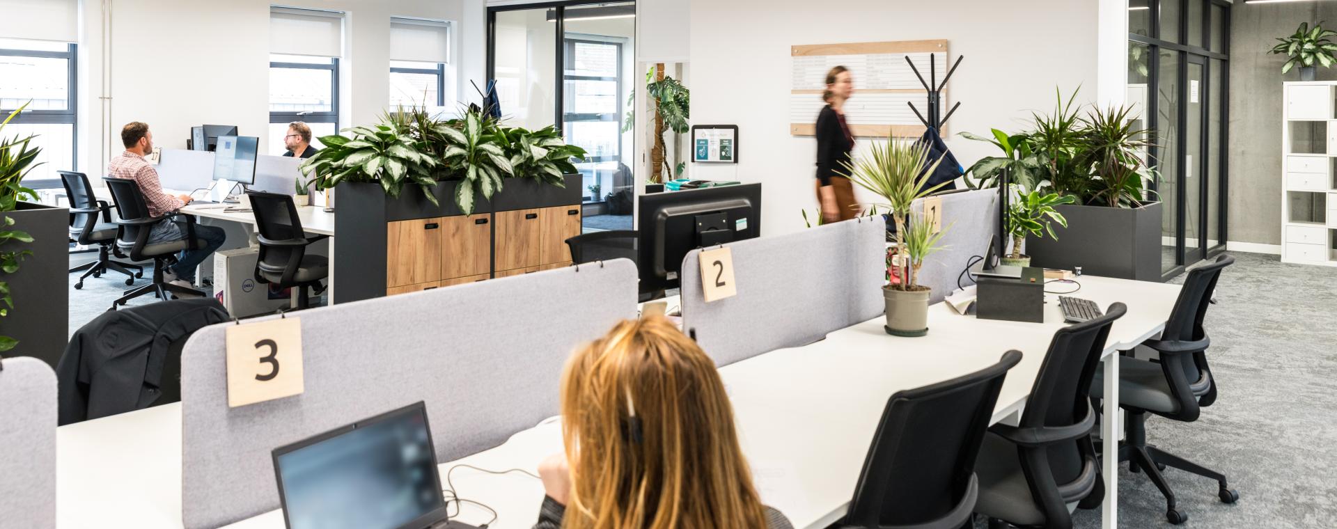 Streamline workspace