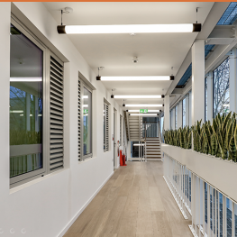 Green House hallway