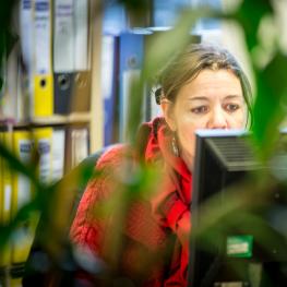 Tenant at their desk in Green Fish