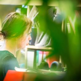 Tenant at Green Fish, at their desk